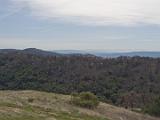 Henry Coe 006
